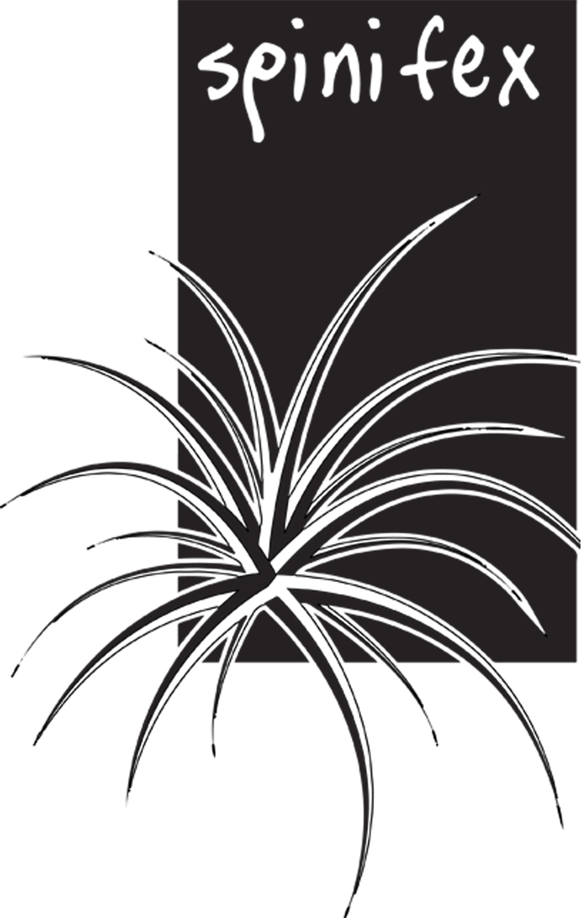 Spinifex